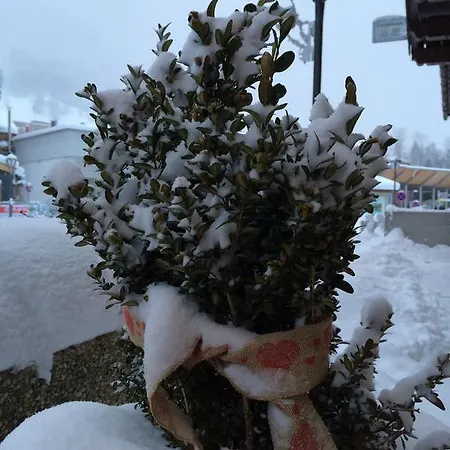 Apartment Haus Hannes Spiss Sankt Anton am Arlberg